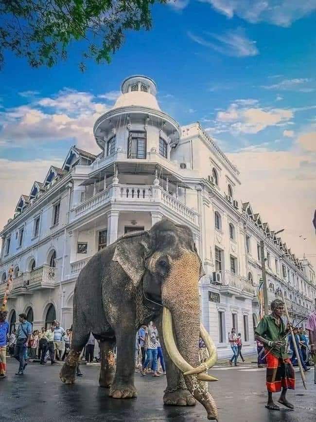 Kandy